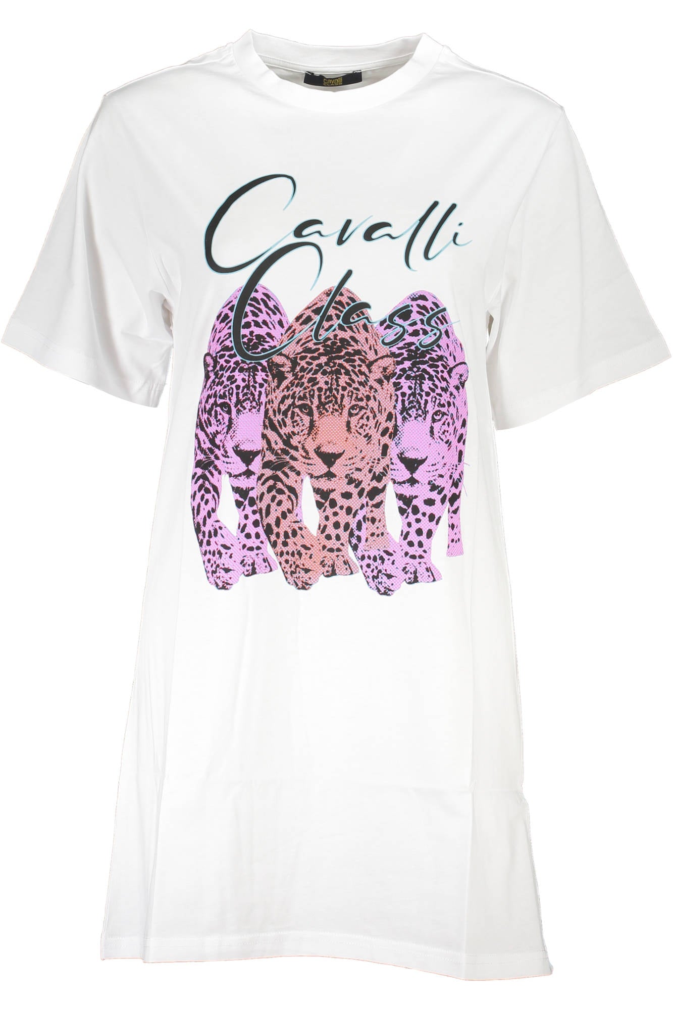CAVALLI CLASS