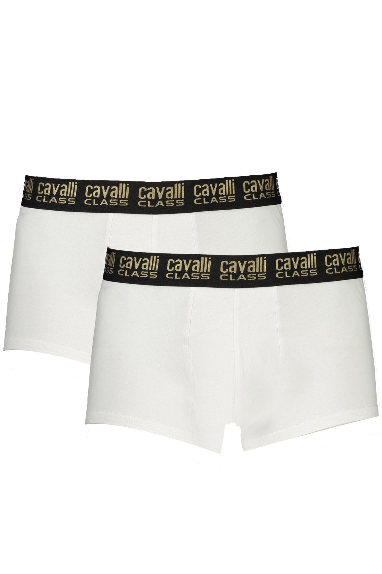 CAVALLI CLASS