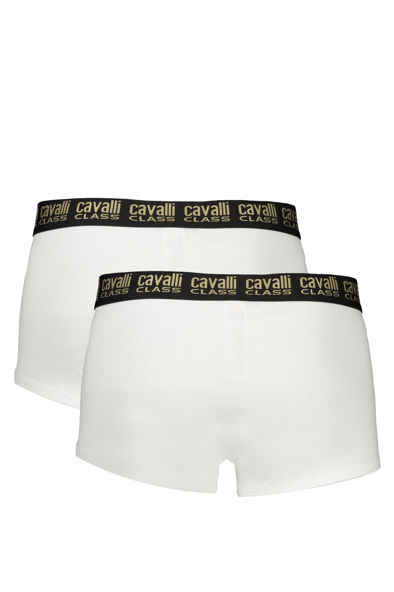 CAVALLI CLASS