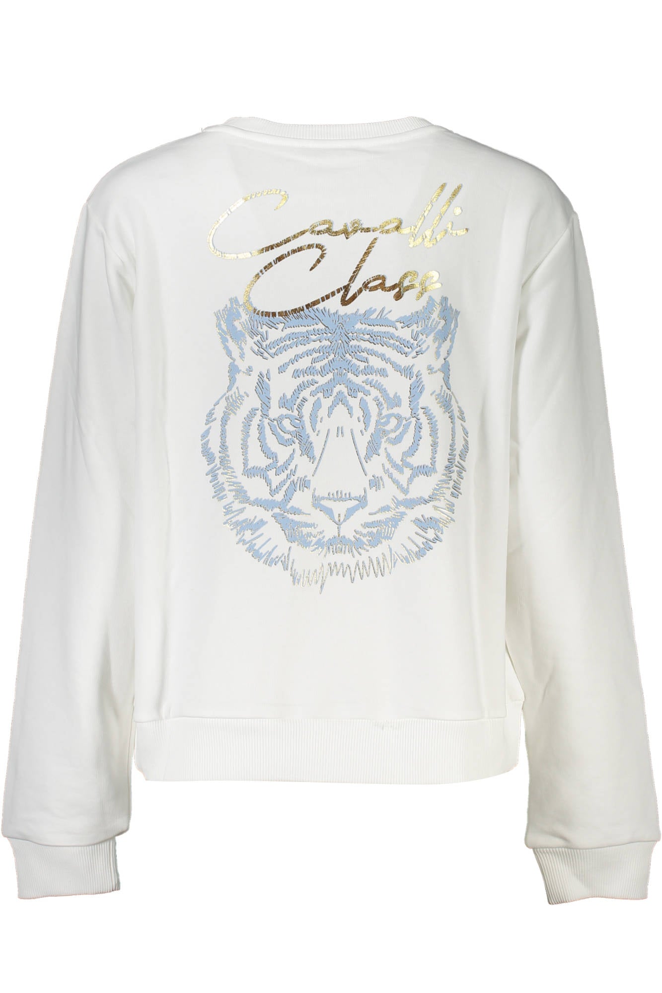 CAVALLI CLASS
