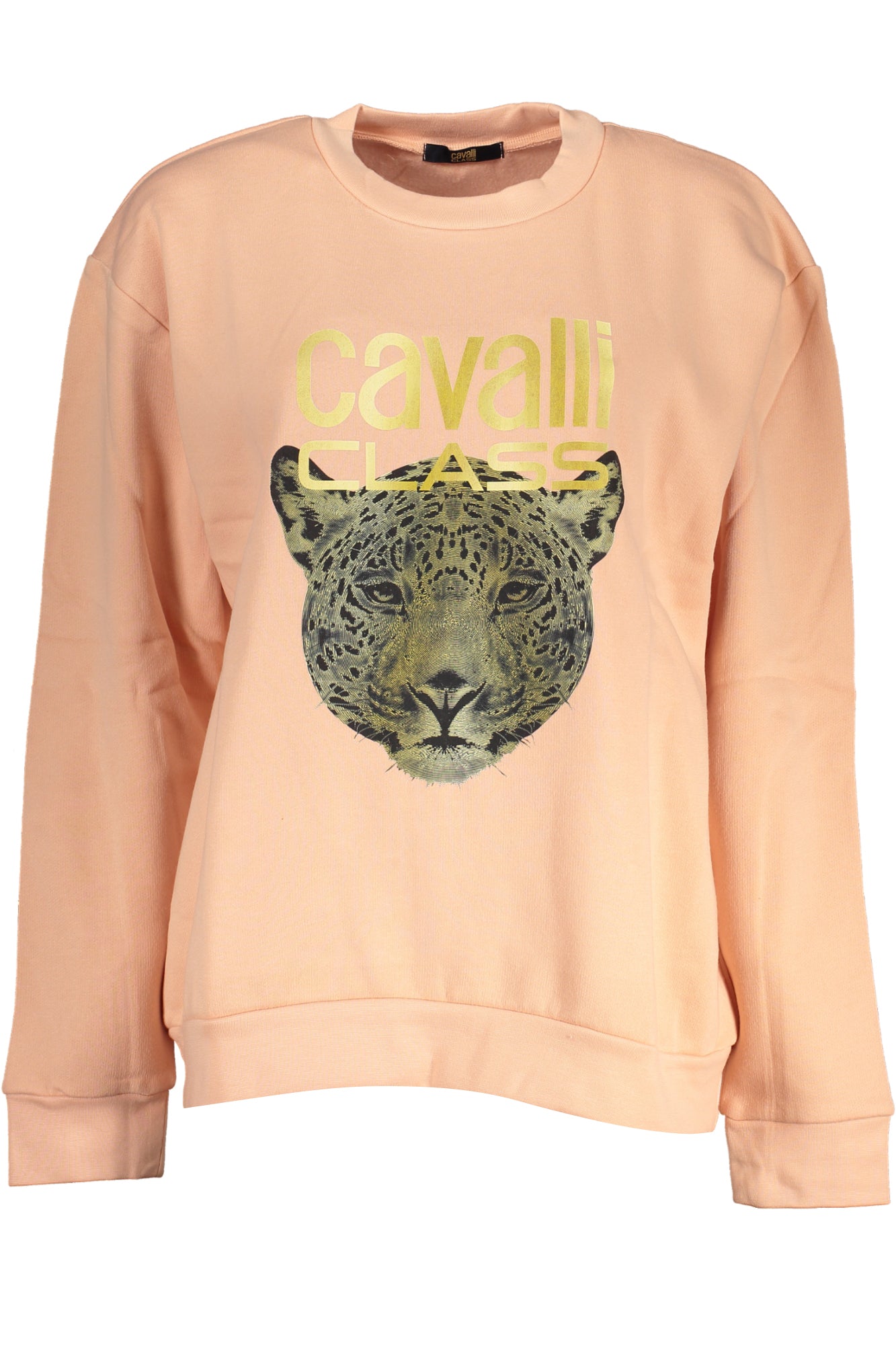 CAVALLI CLASS
