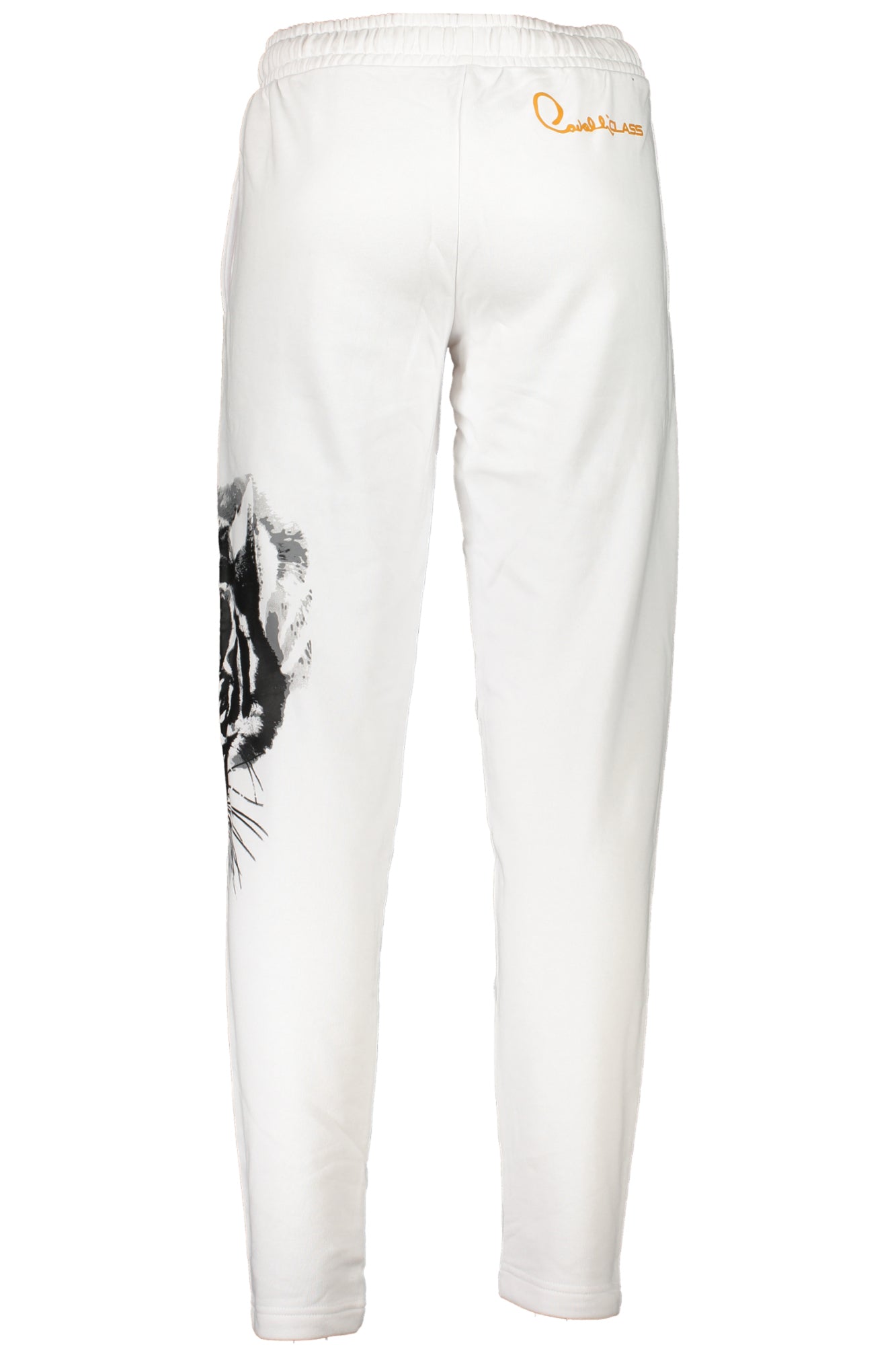 CAVALLI CLASS