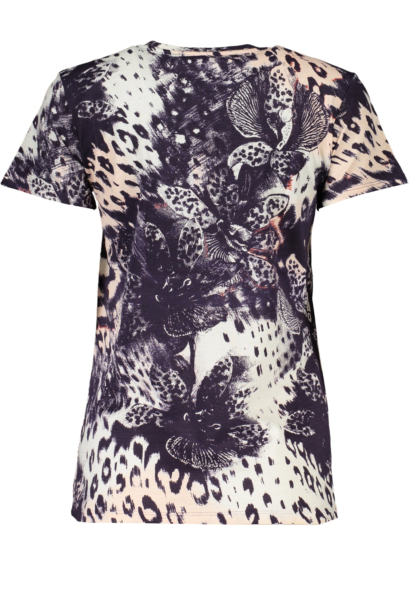 CAVALLI CLASS