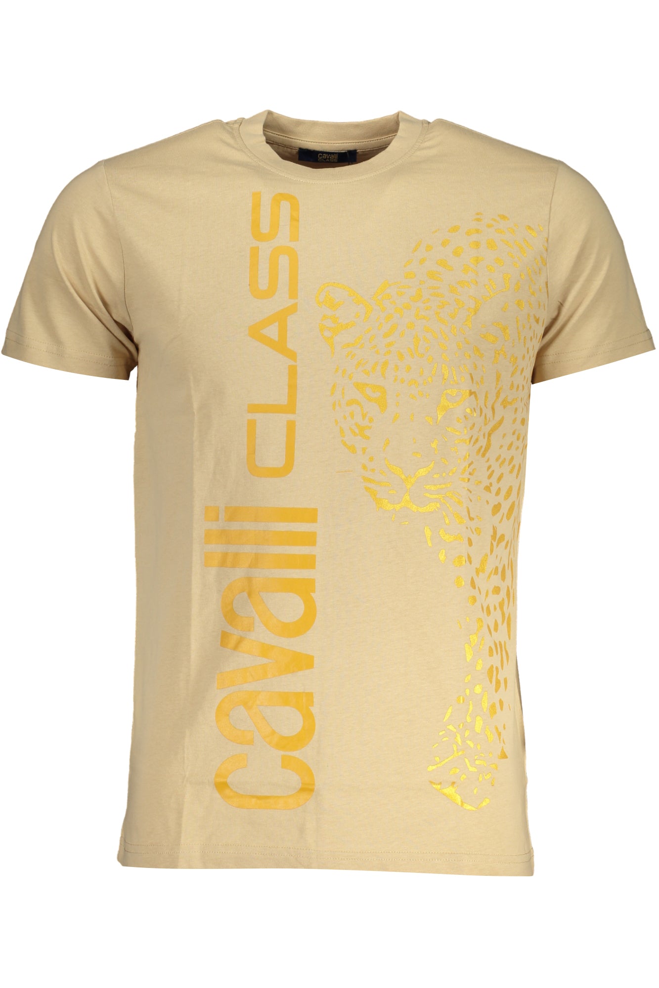 CAVALLI CLASS