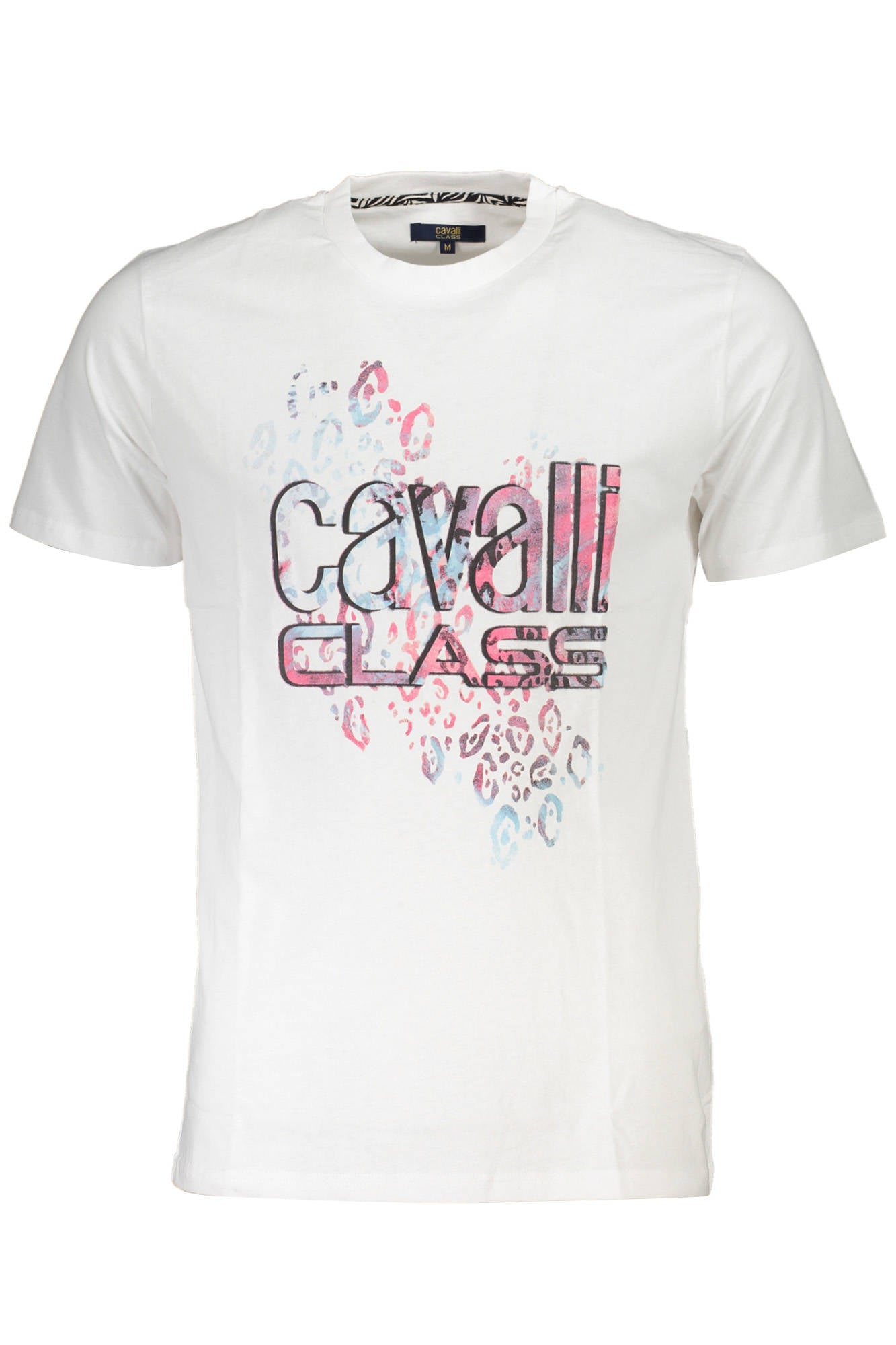 CAVALLI CLASS