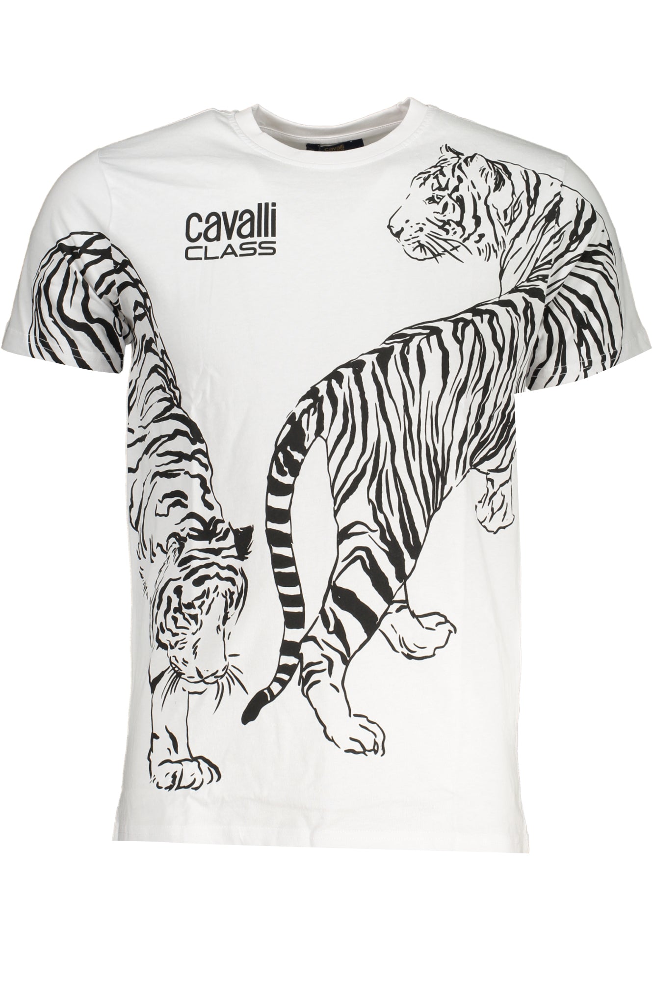 CAVALLI CLASS