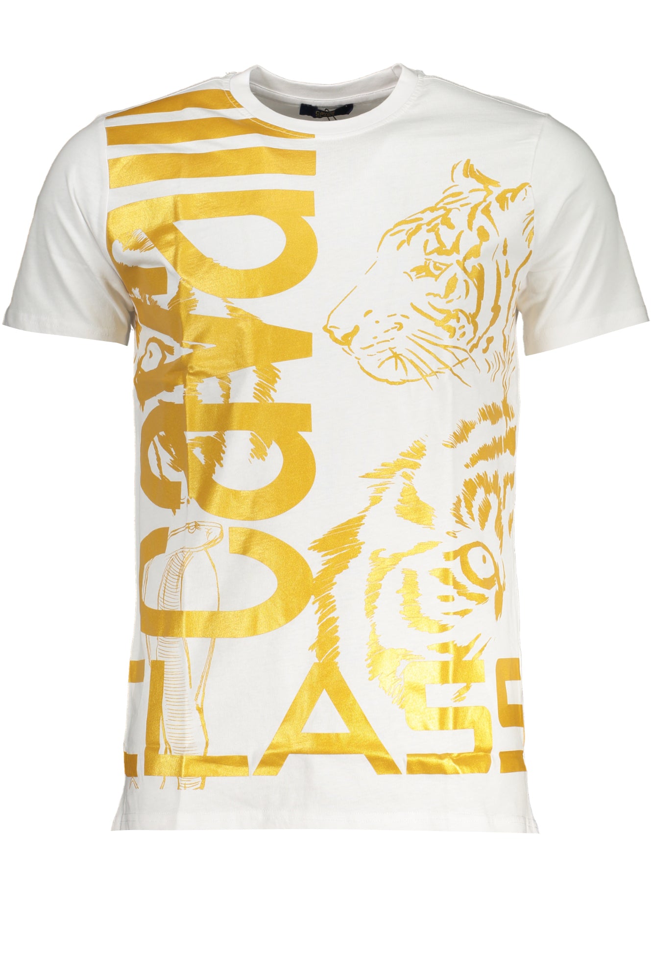 CAVALLI CLASS