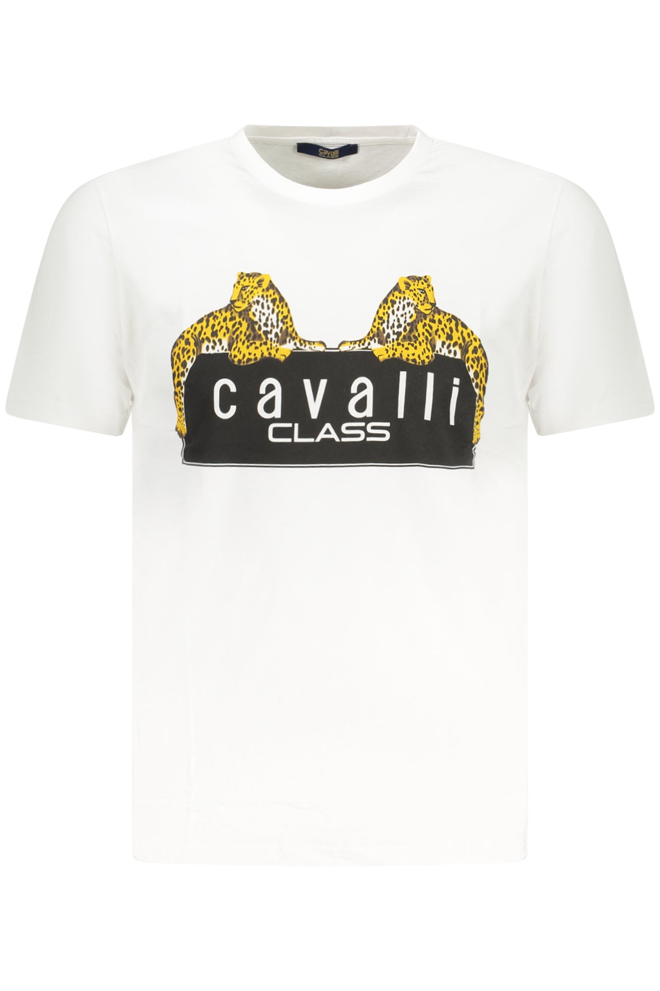 CAVALLI CLASS