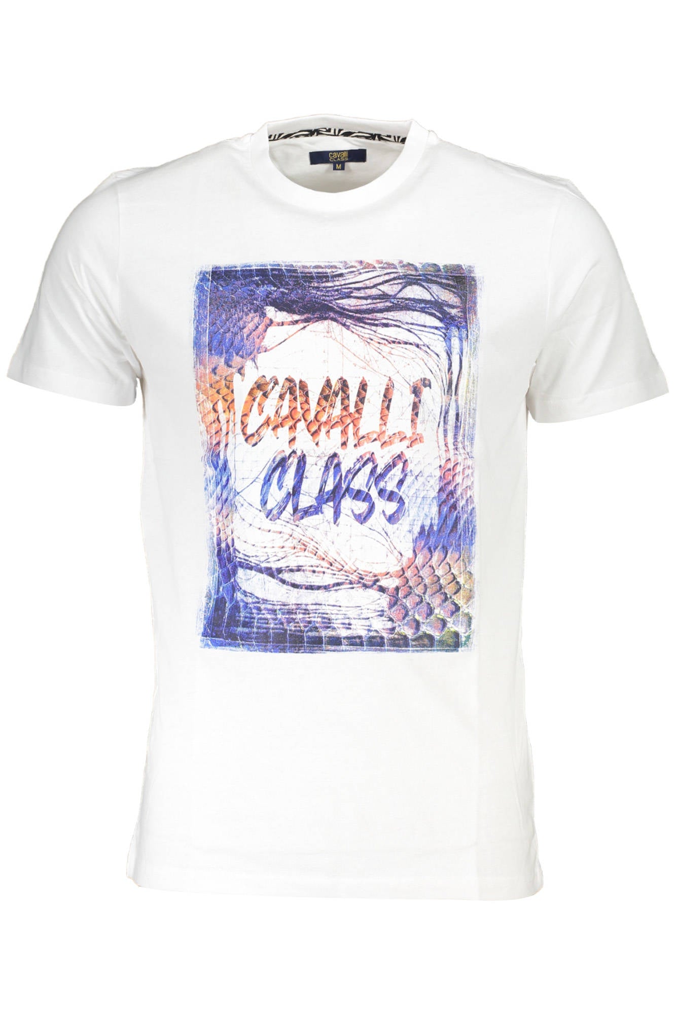 CAVALLI CLASS