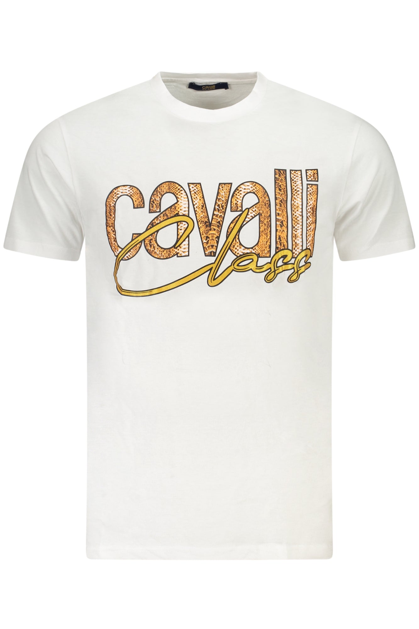 CAVALLI CLASS