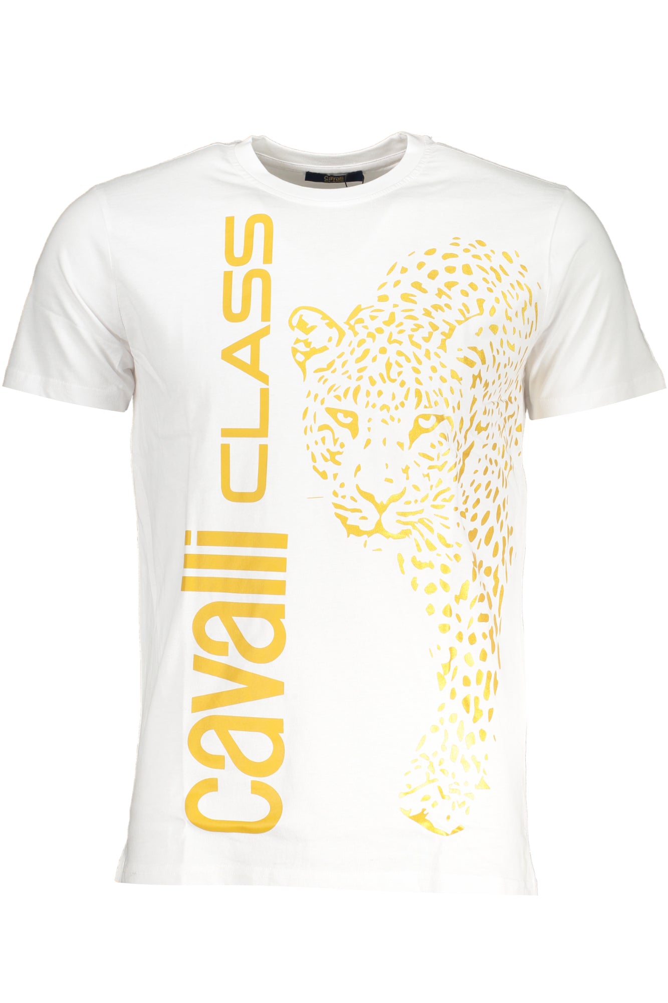 CAVALLI CLASS