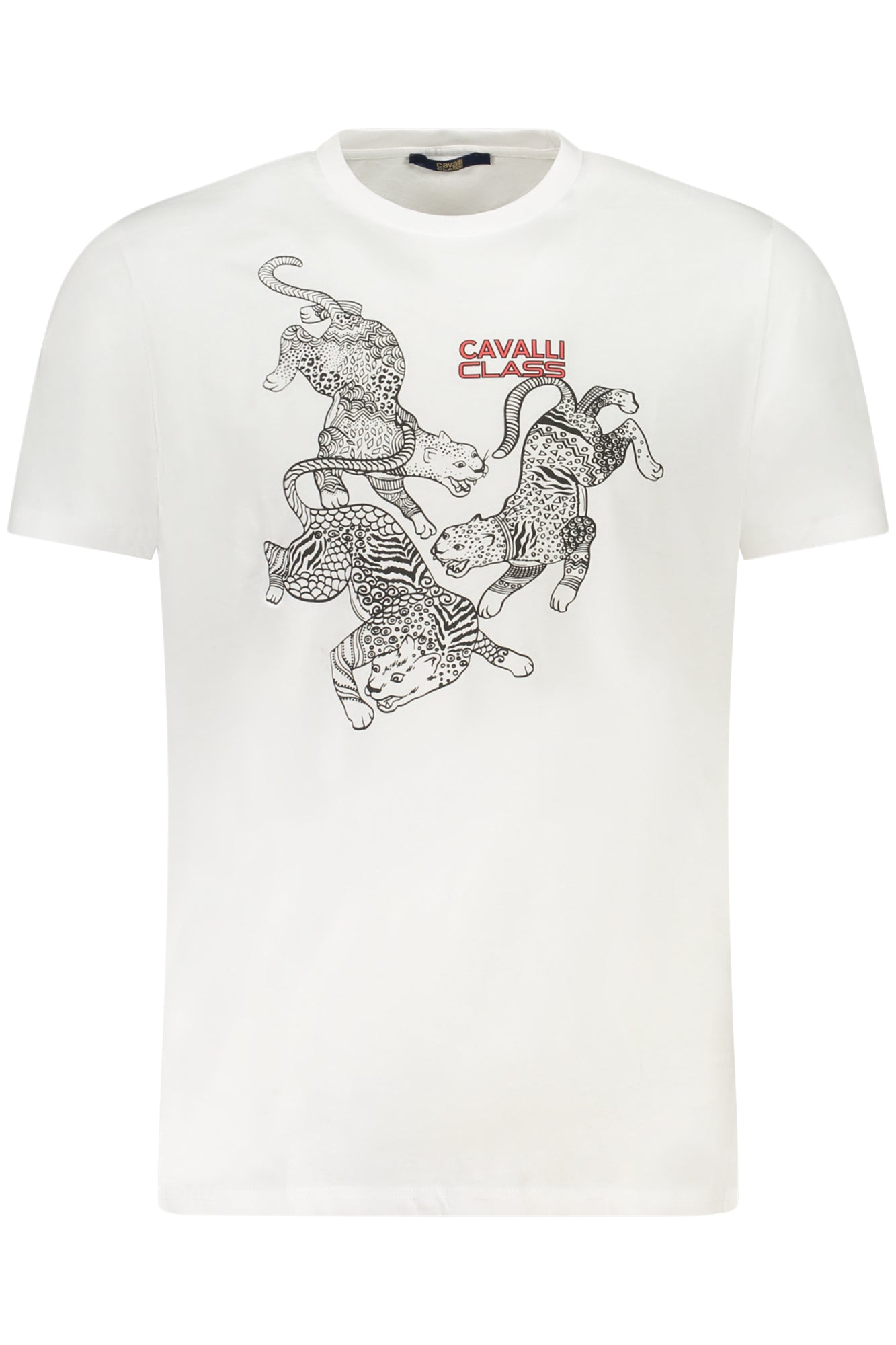 CAVALLI CLASS