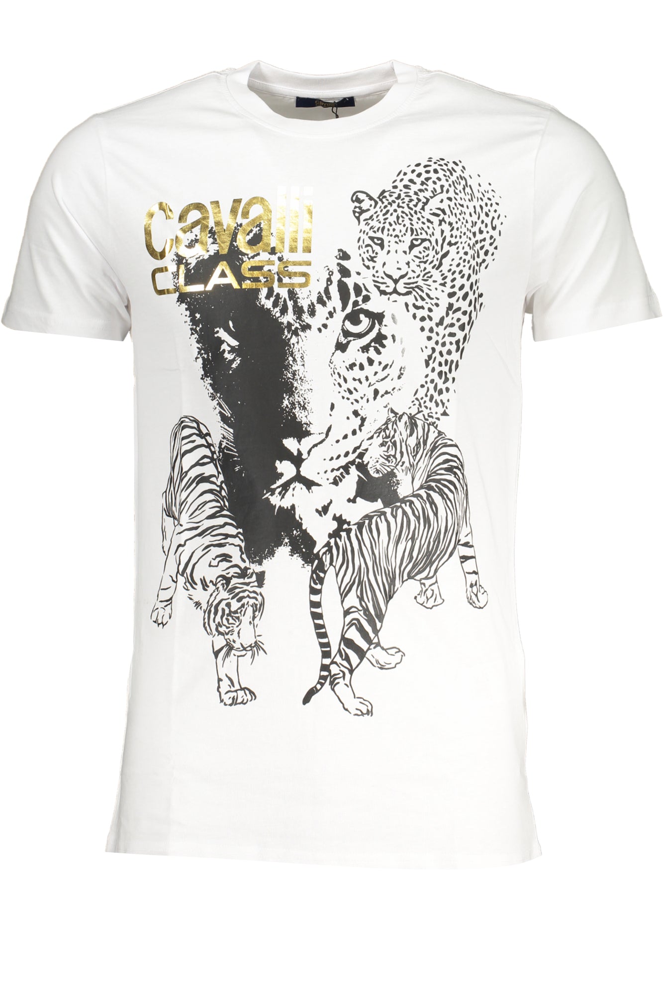 CAVALLI CLASS