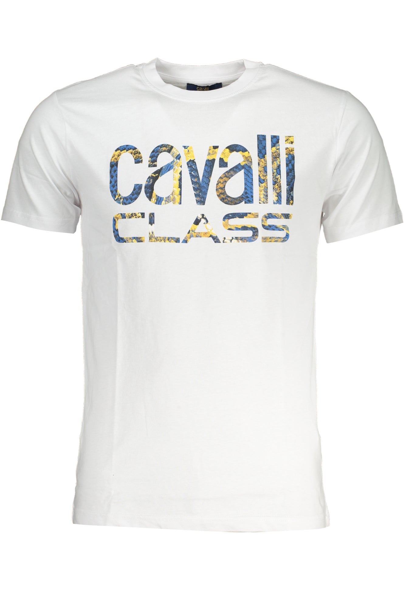 CAVALLI CLASS