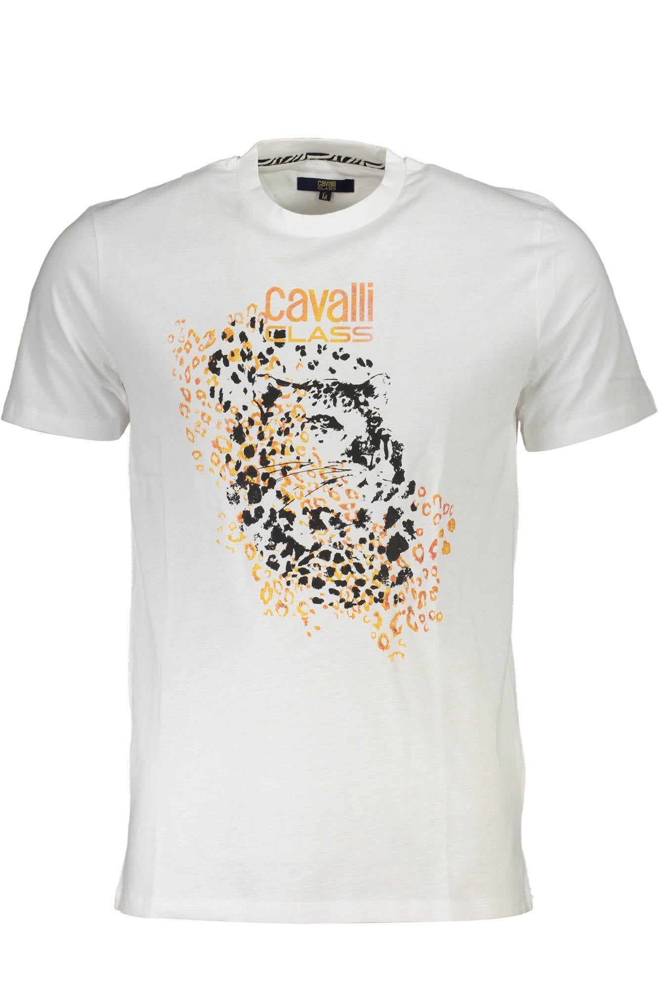 CAVALLI CLASS