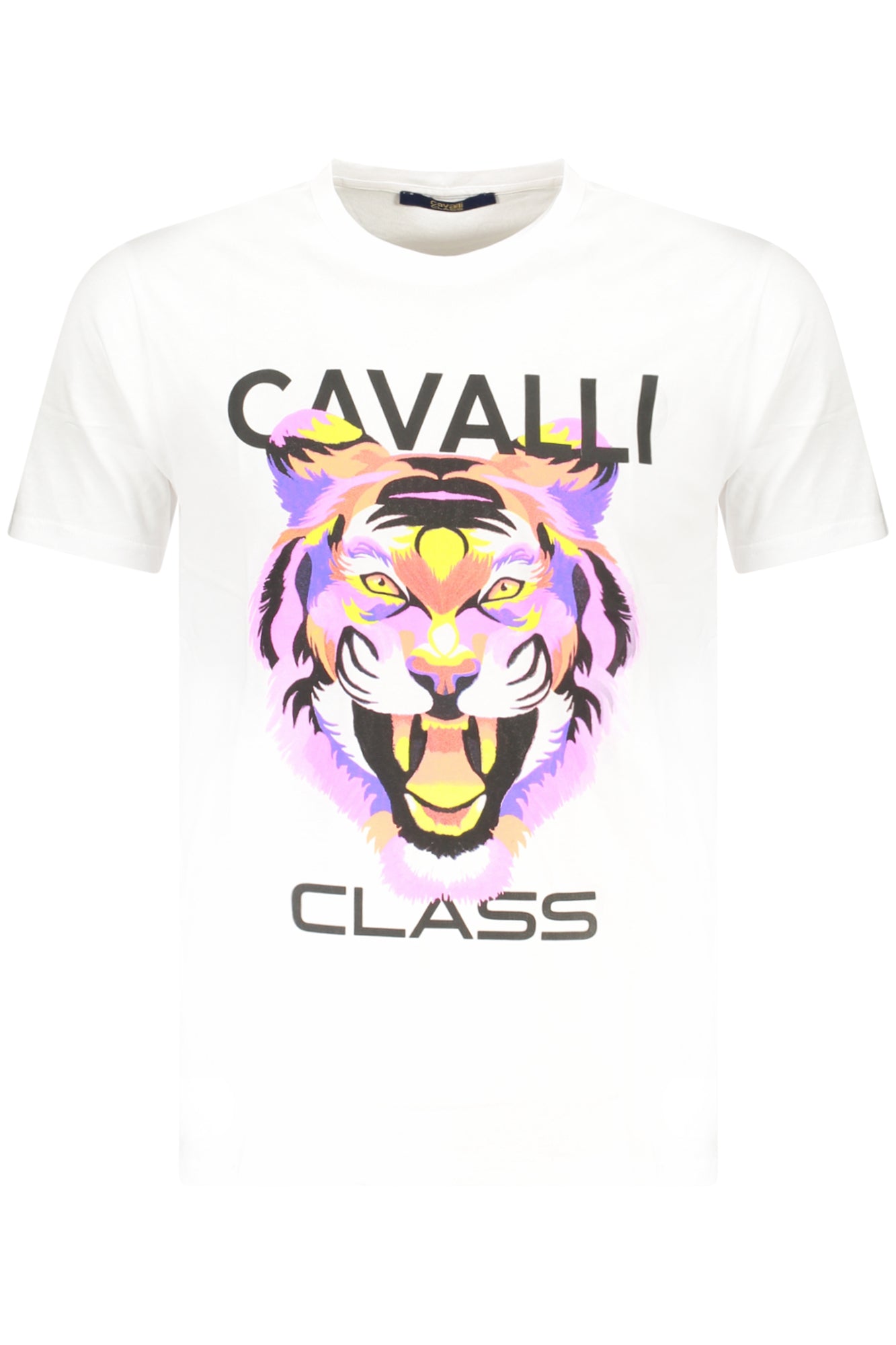 CAVALLI CLASS