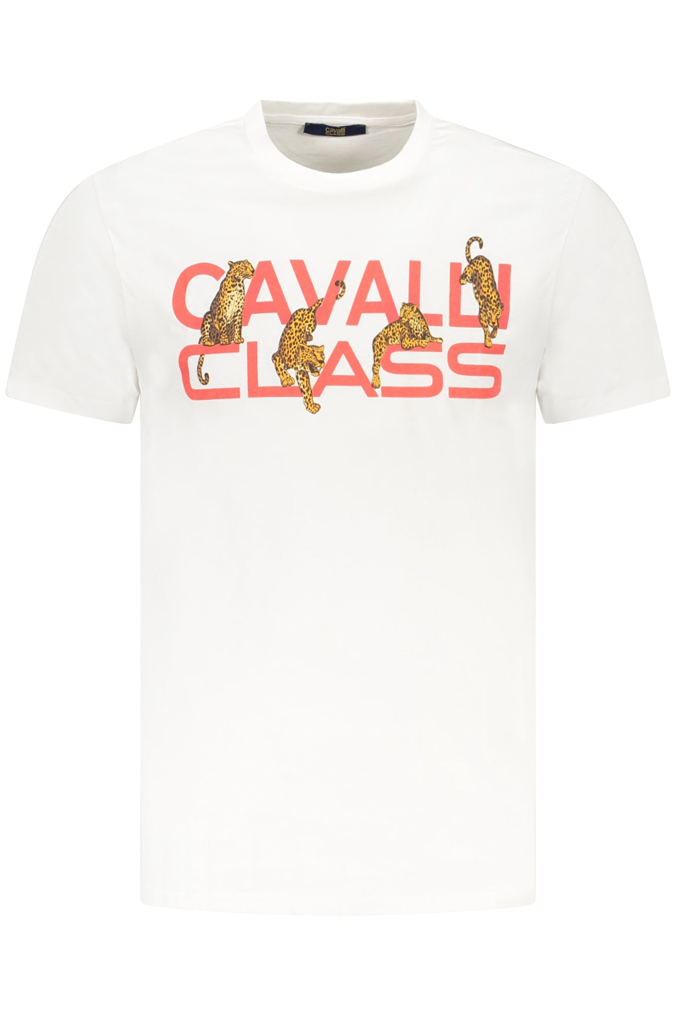 CAVALLI CLASS