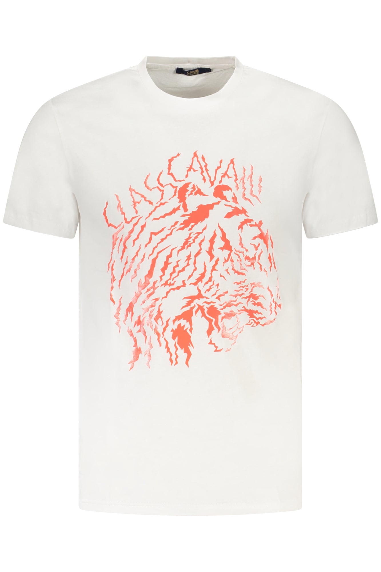 CAVALLI CLASS