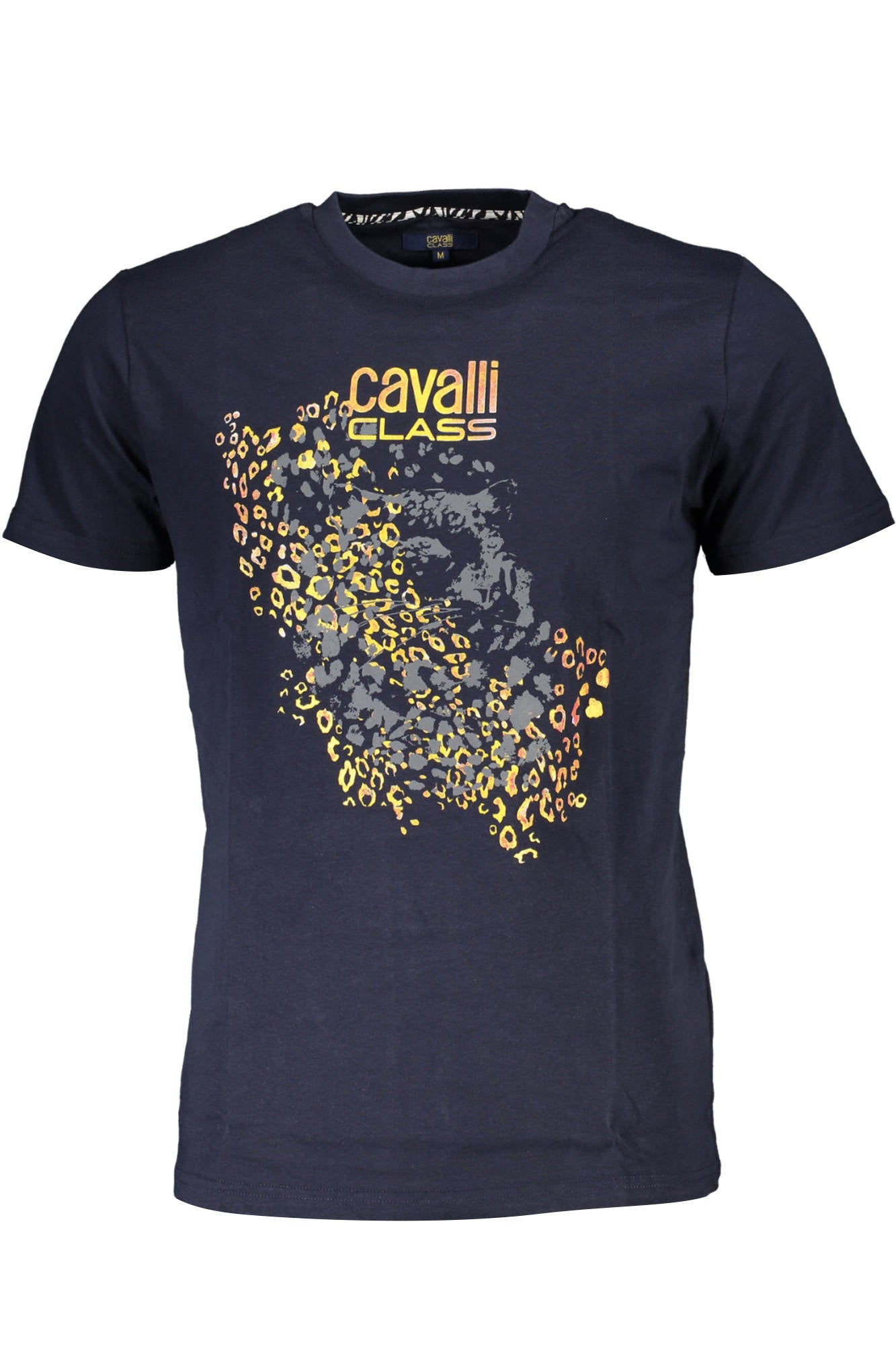 CAVALLI CLASS