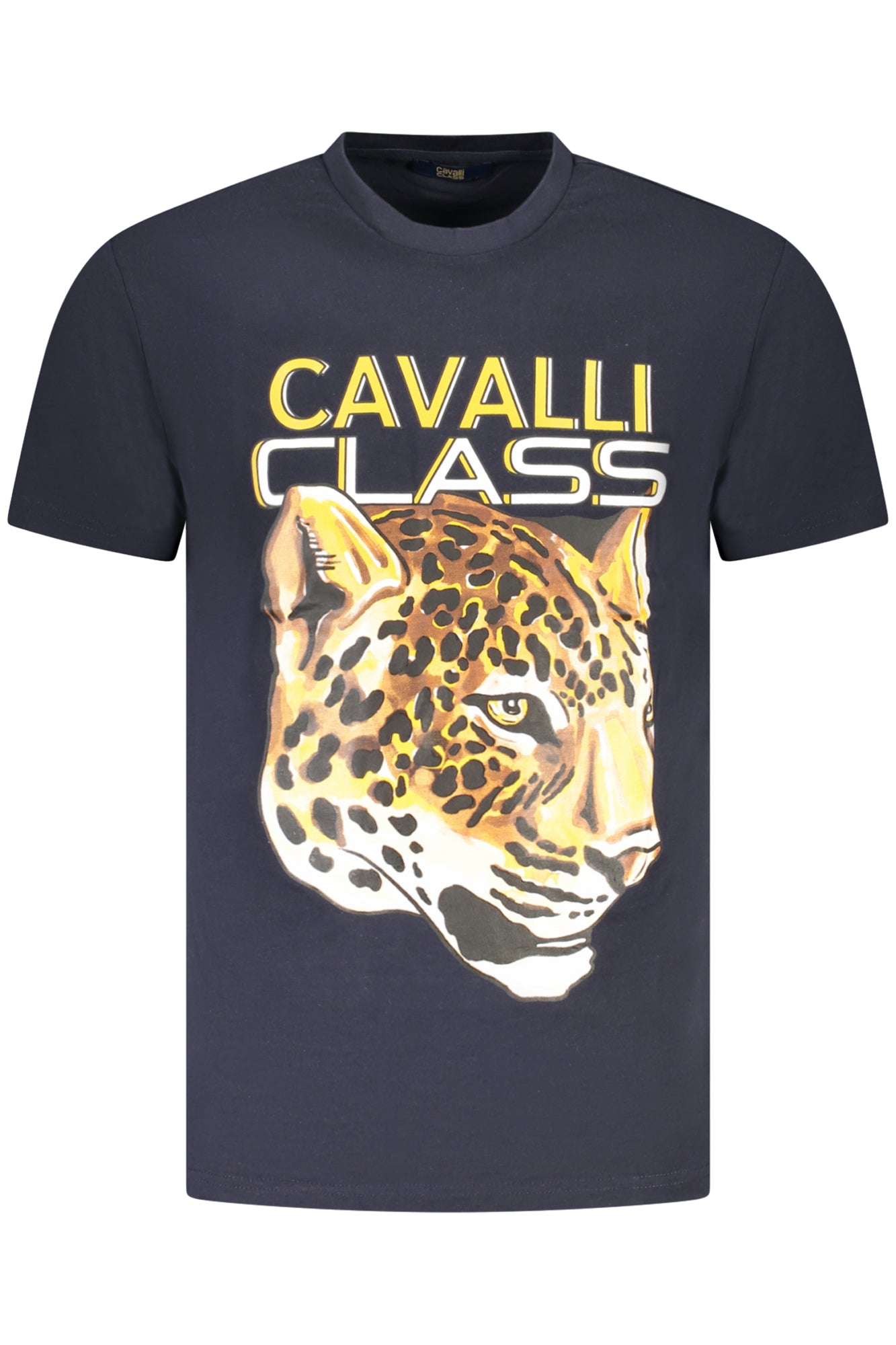 CAVALLI CLASS