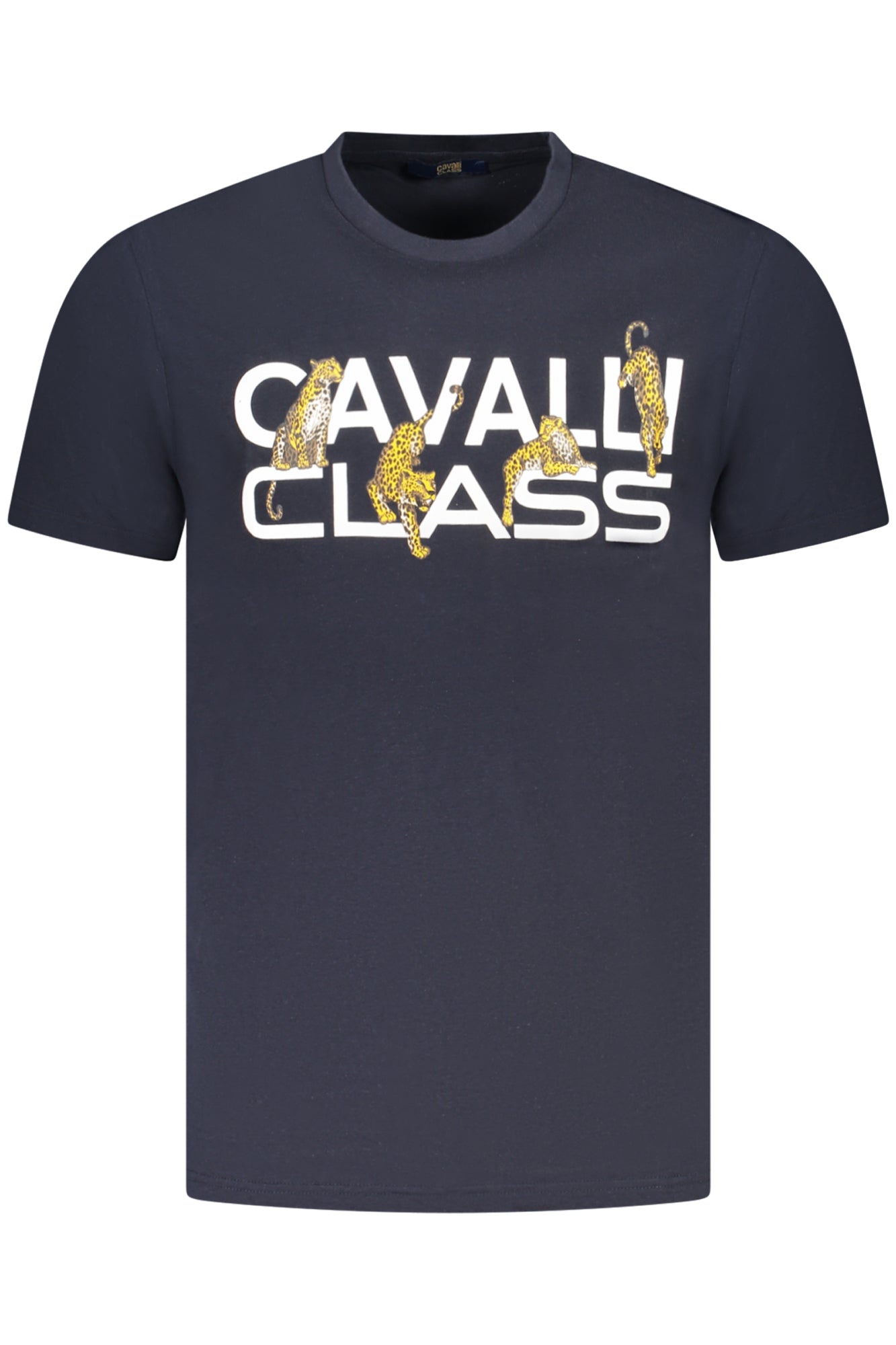 CAVALLI CLASS