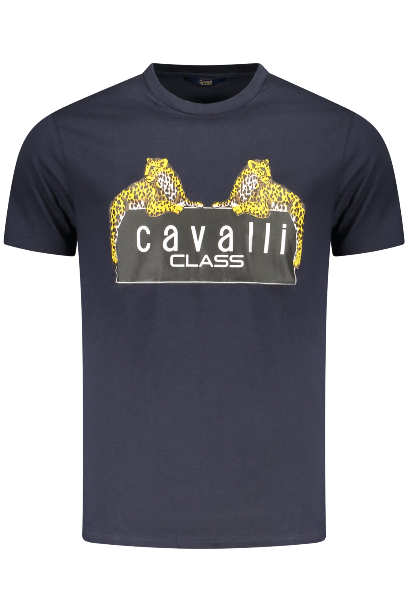 CAVALLI CLASS