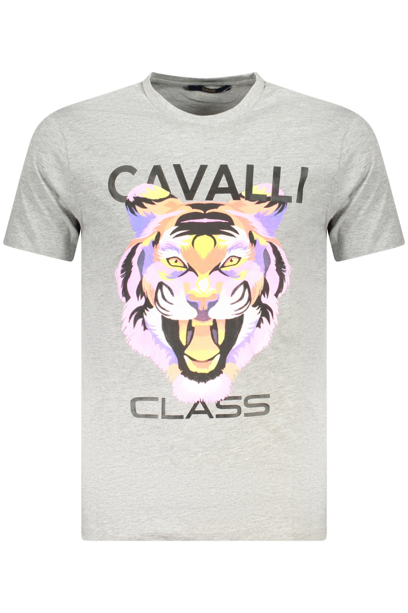 CAVALLI CLASS