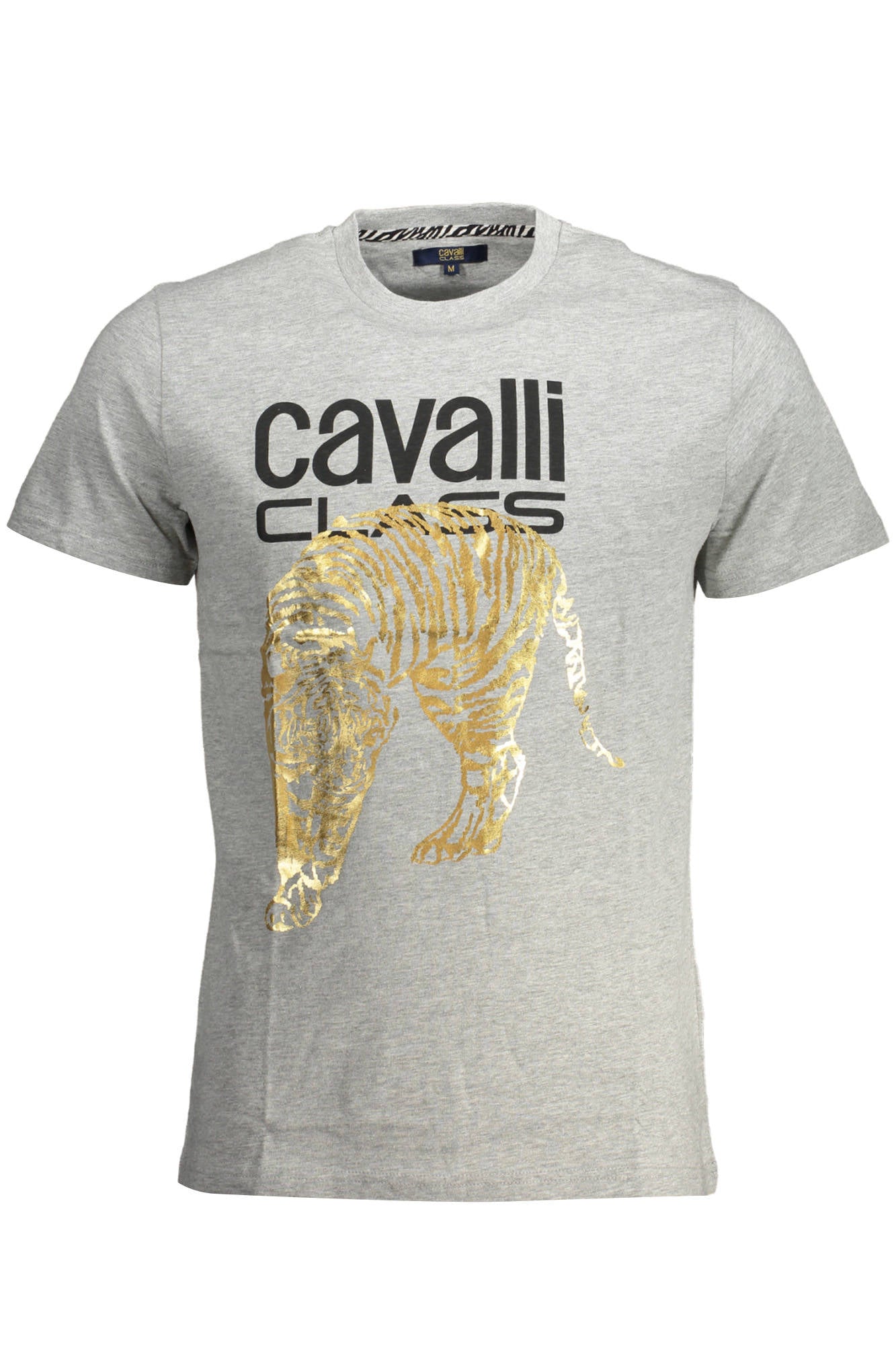 CAVALLI CLASS