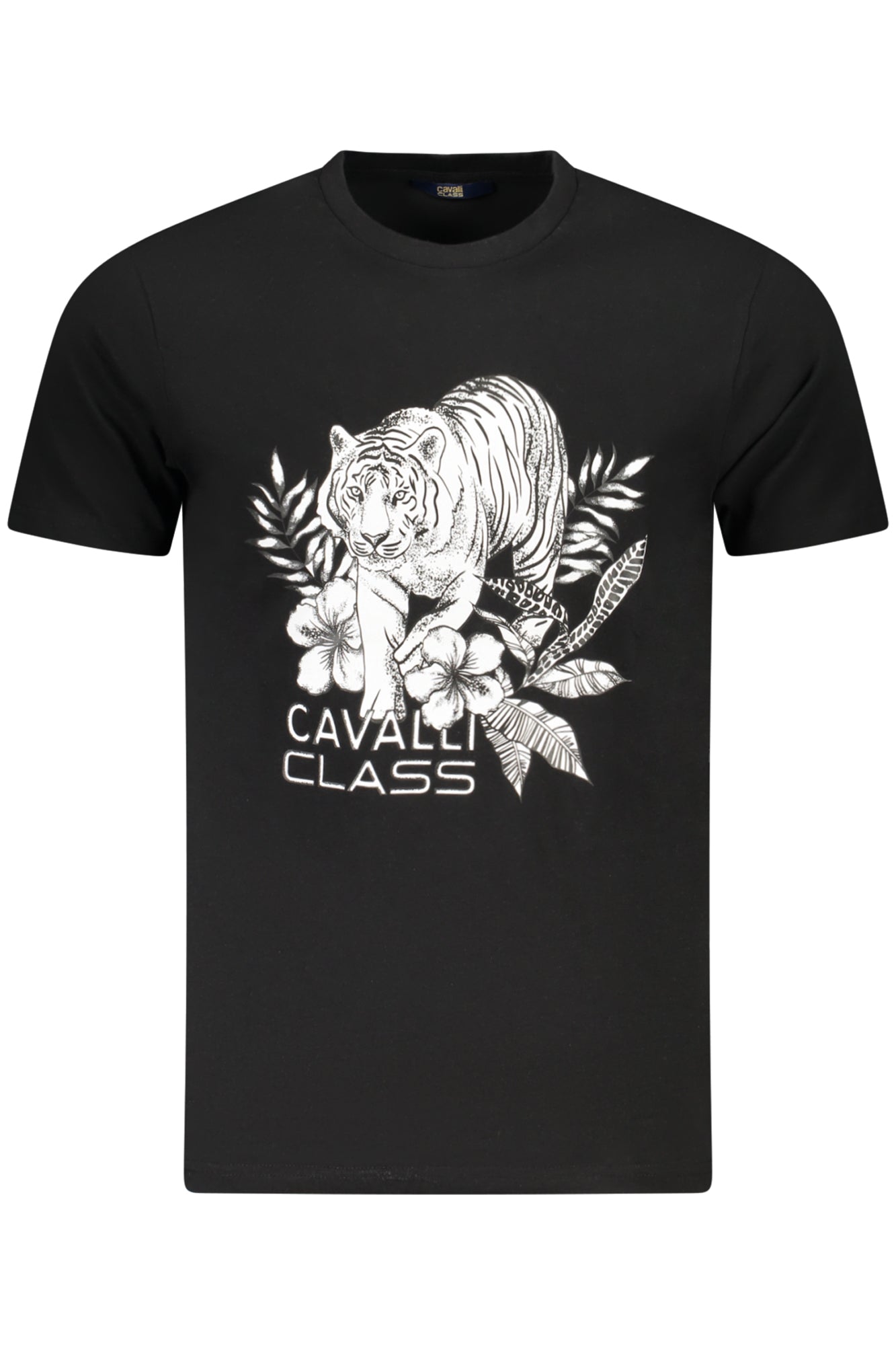 CAVALLI CLASS