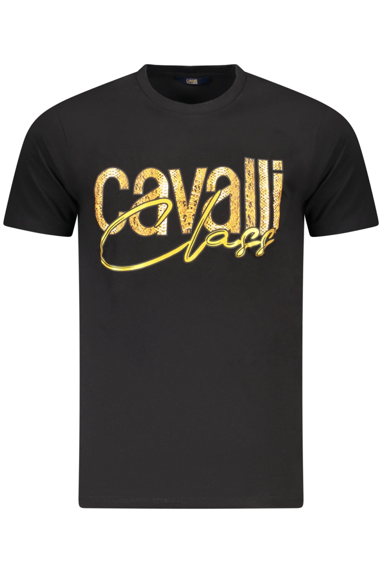 CAVALLI CLASS