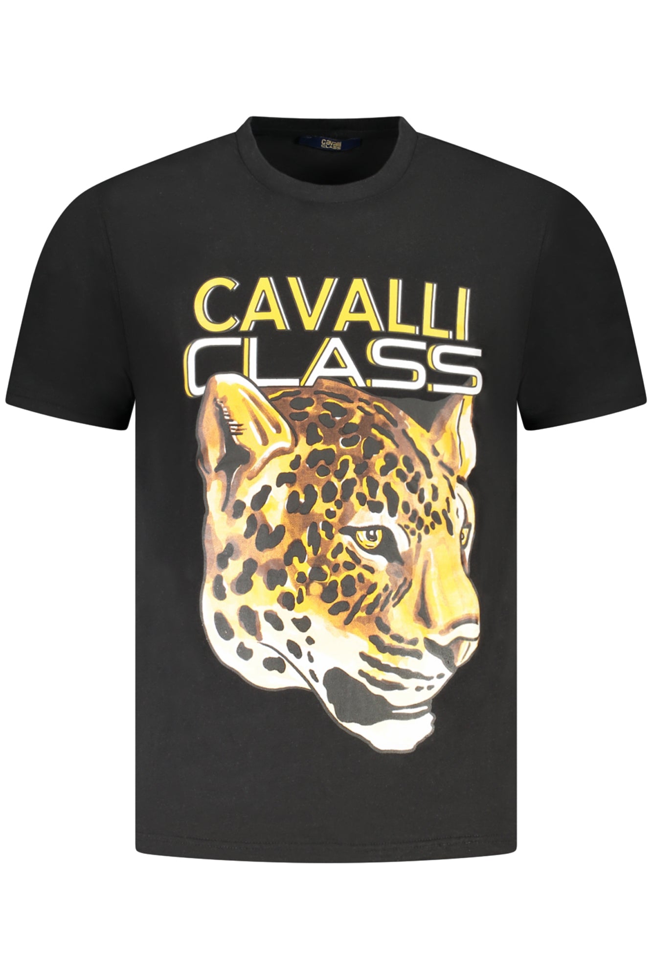 CAVALLI CLASS