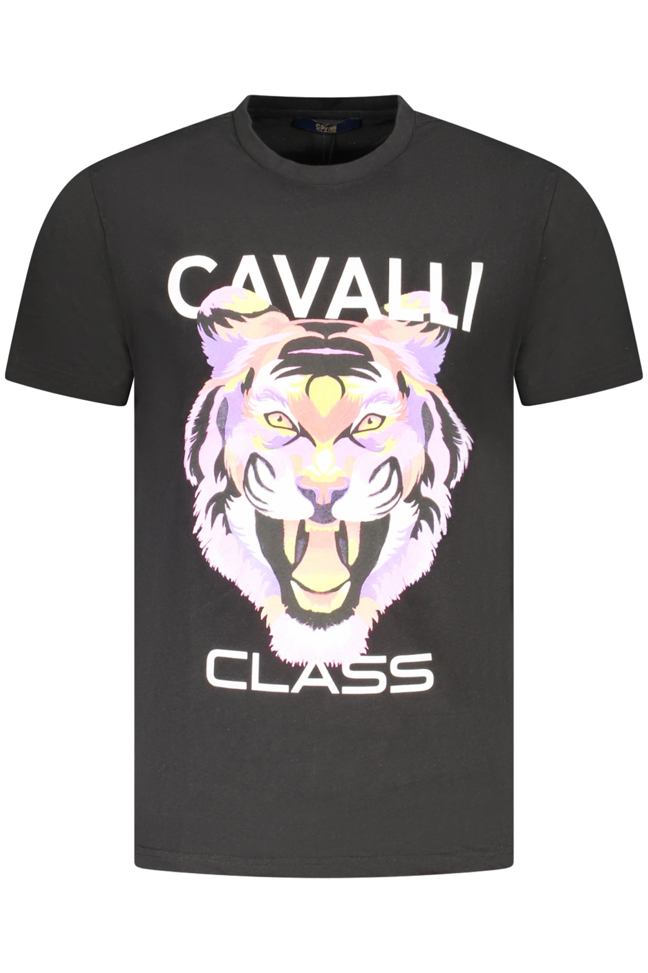 CAVALLI CLASS