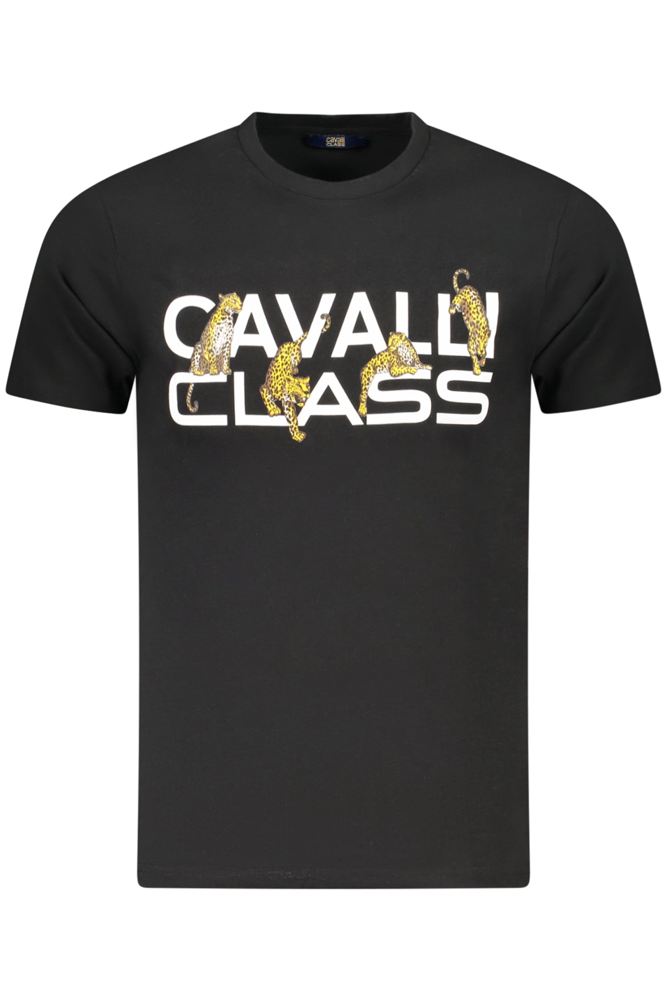 CAVALLI CLASS
