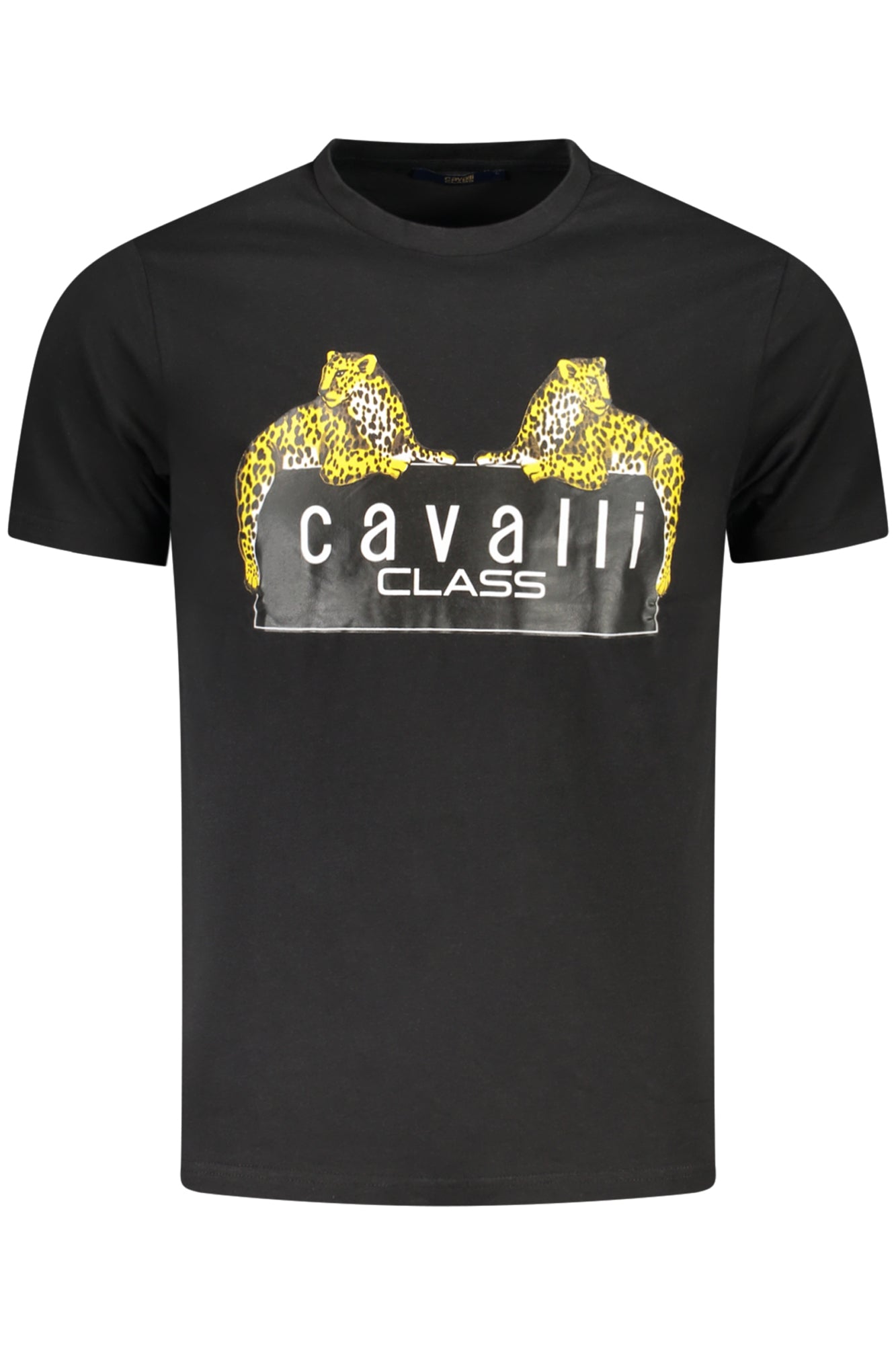 CAVALLI CLASS