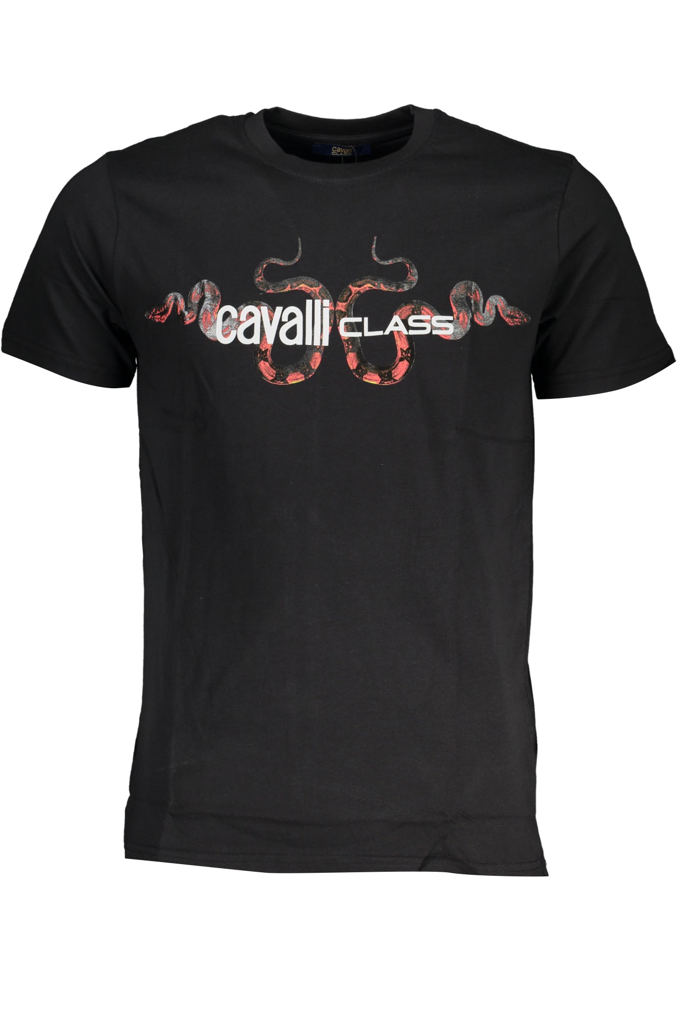 CAVALLI CLASS