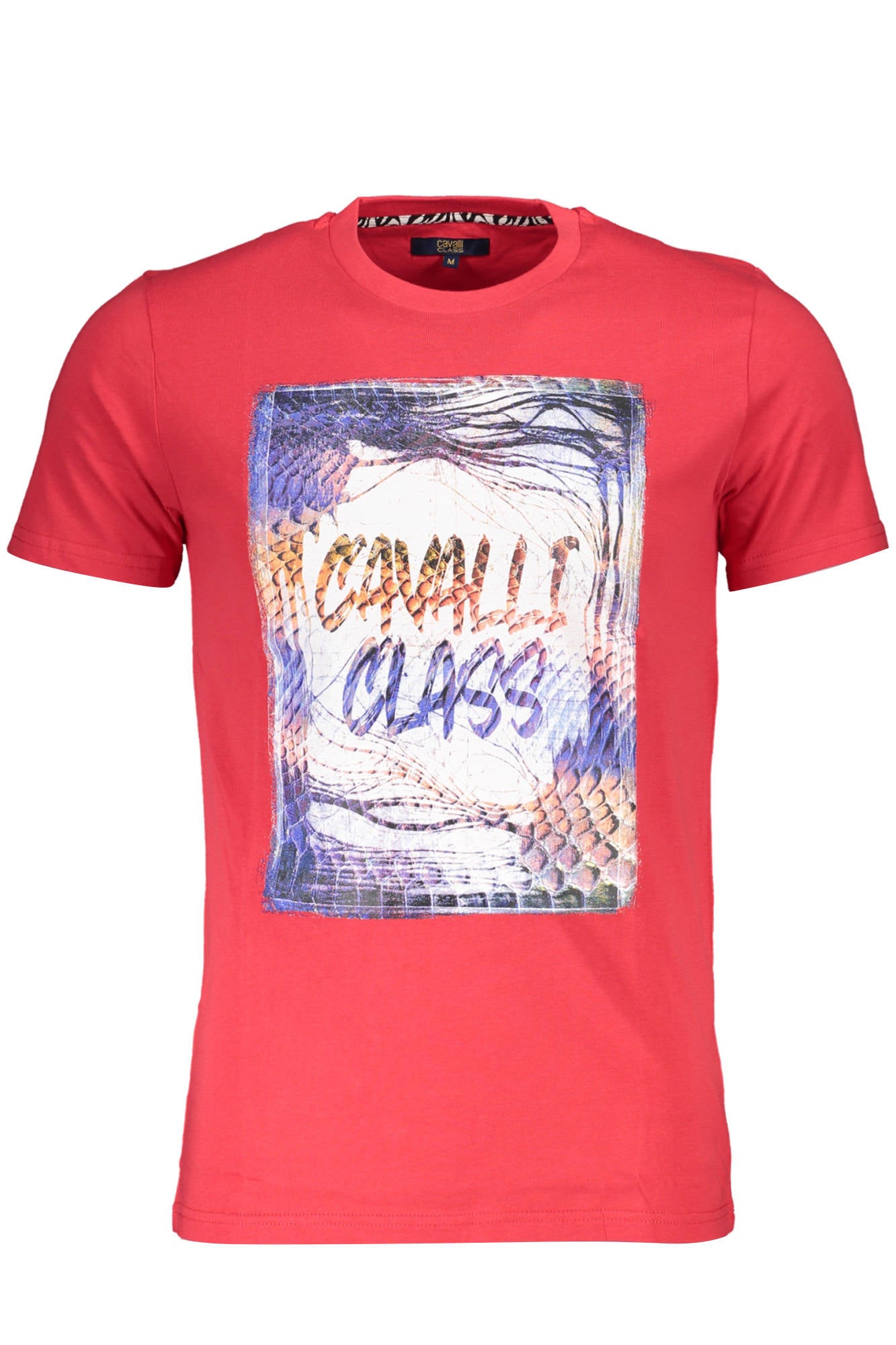 CAVALLI CLASS