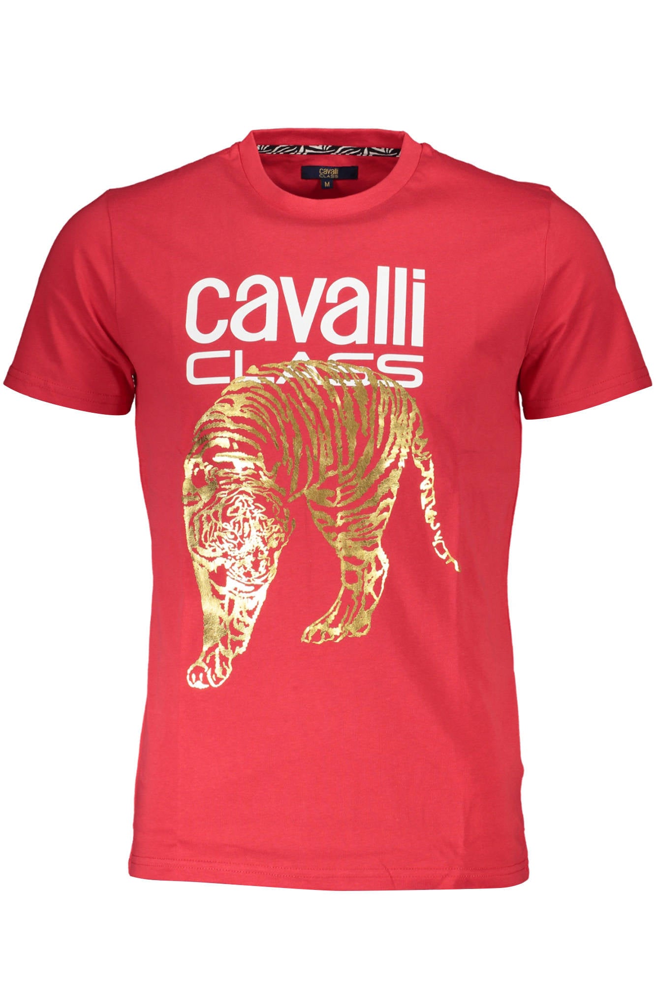 CAVALLI CLASS