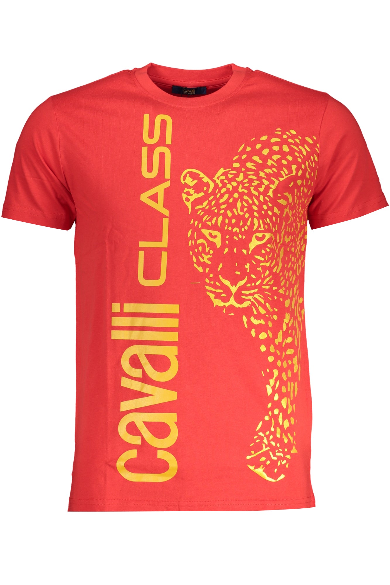 CAVALLI CLASS