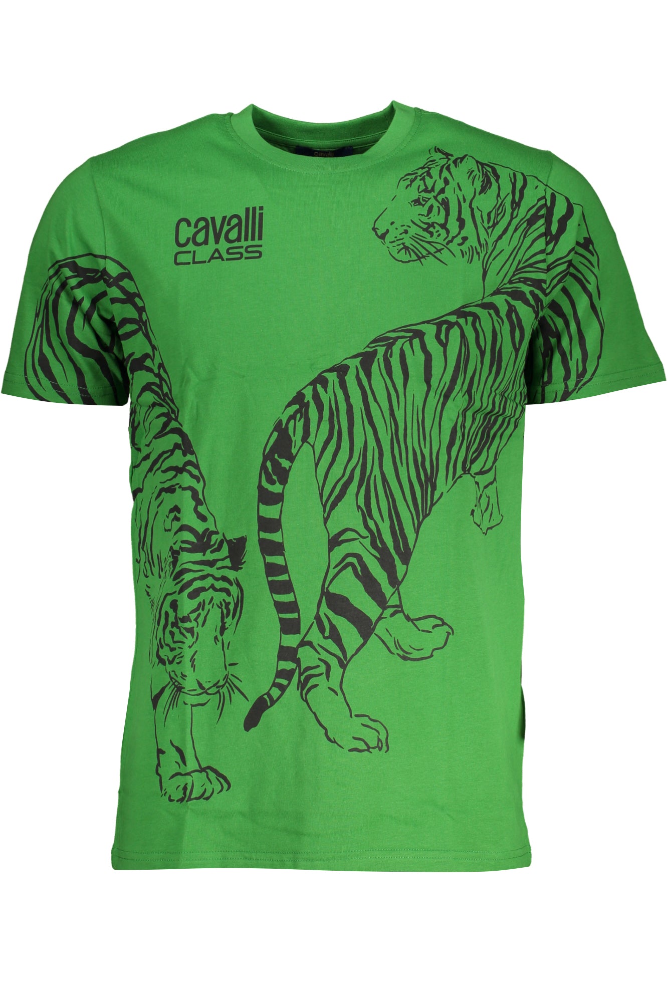 CAVALLI CLASS