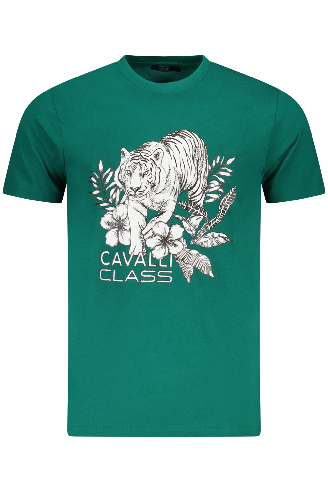 CAVALLI CLASS
