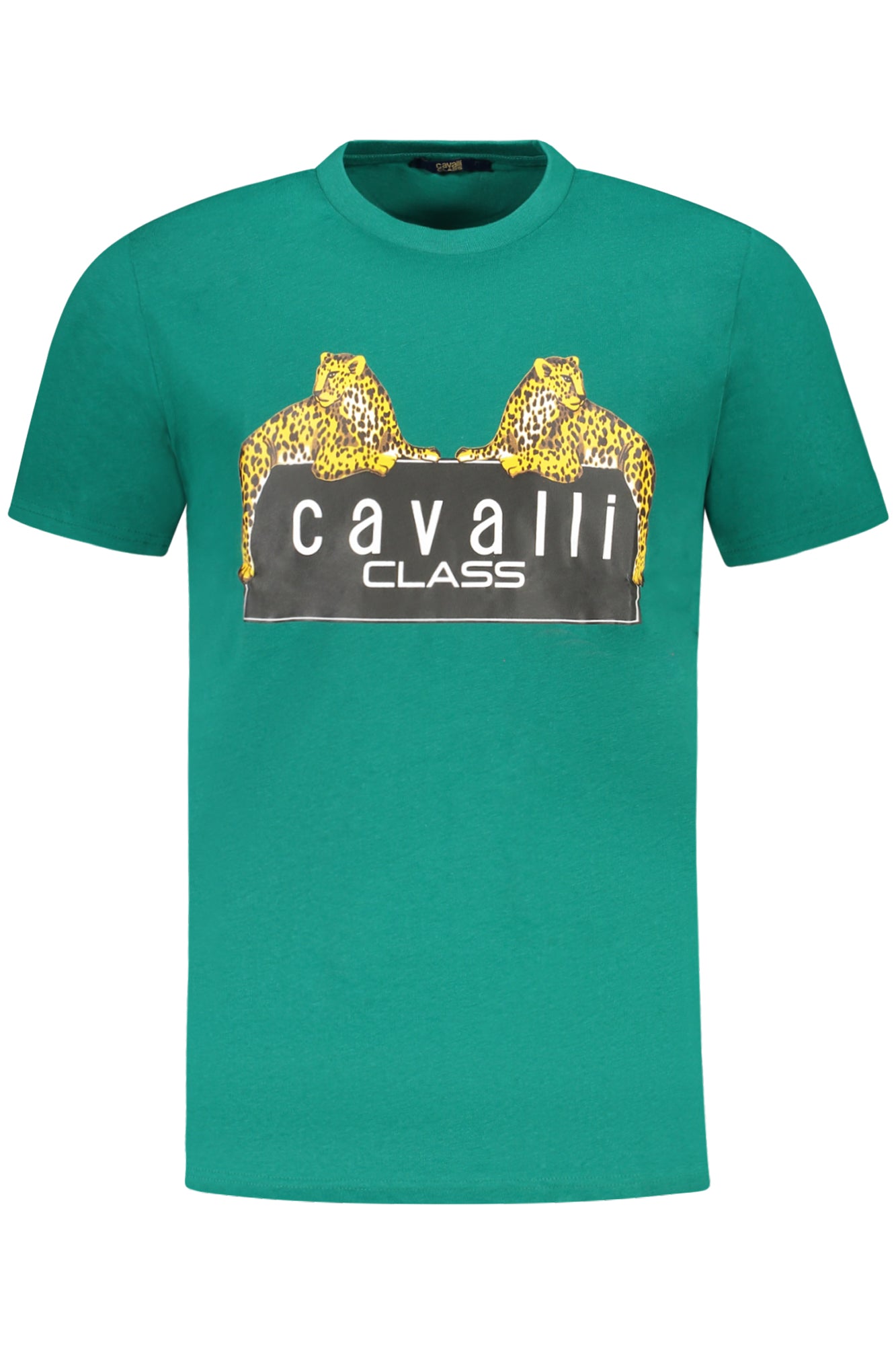 CAVALLI CLASS