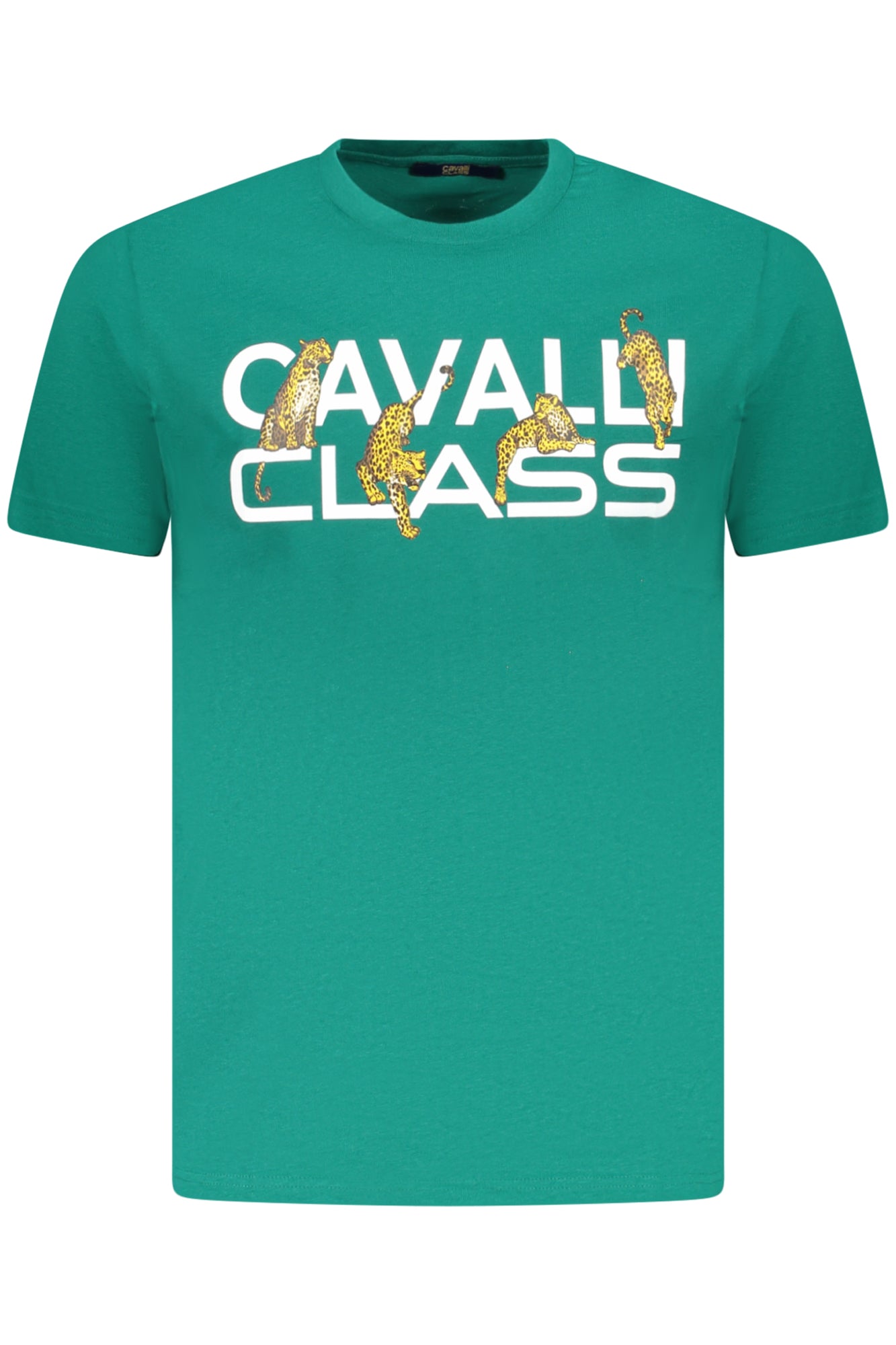 CAVALLI CLASS